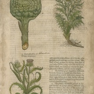 Gardener's Journal I