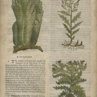 Gardener's Journal II