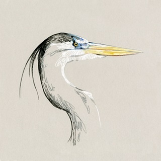 Bright Heron Sketch I