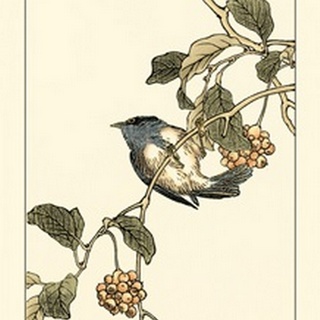 Oriental Bird on Branch III