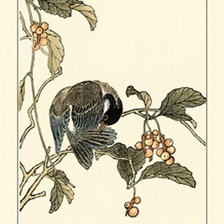Oriental Bird on Branch IV