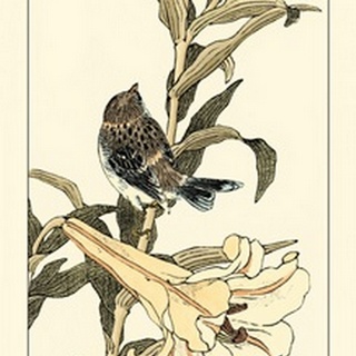 Oriental Bird on Branch II