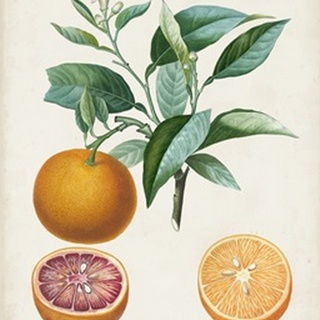 Orange de Malte