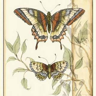 Tandem Butterflies II