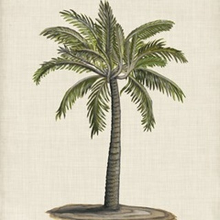British Palms I