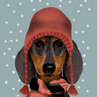 Dachshund With Woolly Hat and Scarf