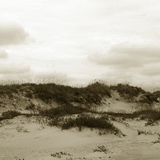 Ocracoke Dune Study III