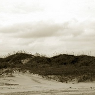 Ocracoke Dune Study I