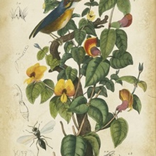 Antique Bird in Nature III