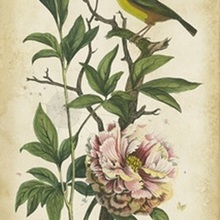 Antique Bird in Nature II