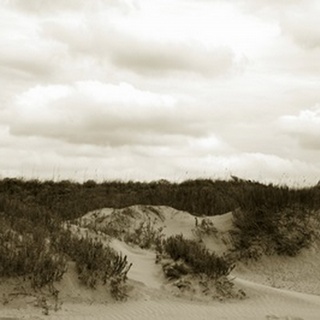 Ocracoke Dune Study II