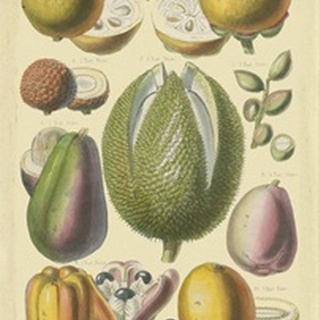 Fruits and Nuts II