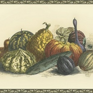 Melons and Gourds