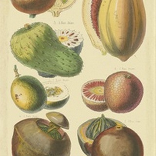 Fruits and Nuts I