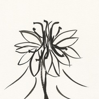 Ink Botanical Sketch XI
