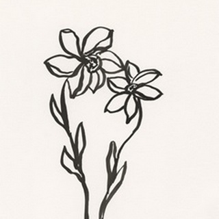 Ink Botanical Sketch IV
