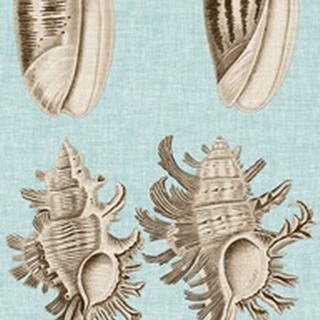 Sepia & Aqua Shells VII