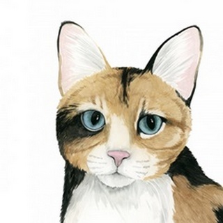 Cat Portrait II