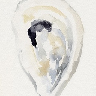 Oyster Shell Watercolor II