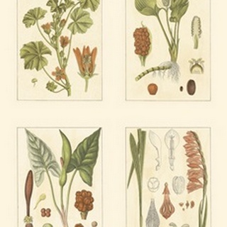 Miniature Botanicals IV