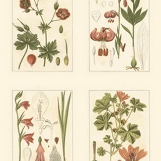 Miniature Botanicals II