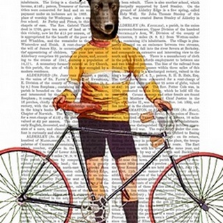 Greyhound Cyclist