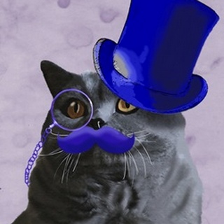 Grey Cat With Blue Top Hat and Moustache