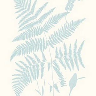 Serene Ferns I