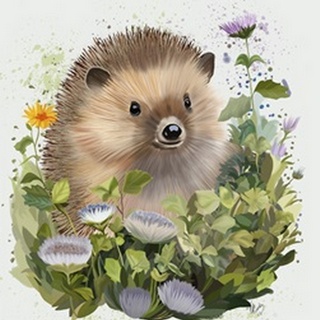 Hedgehog In Ivy