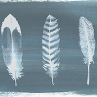 Feathers on Dusty Teal II