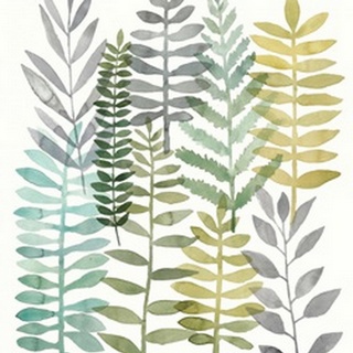 Watercolor Botany II