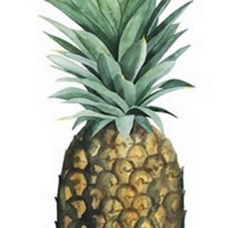 Watercolor Pineapple II
