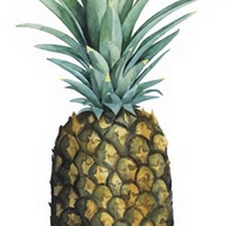 Watercolor Pineapple I