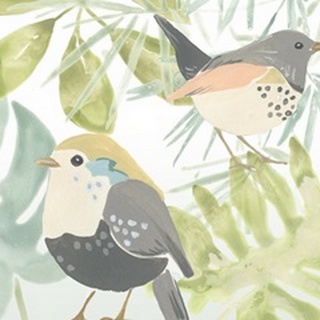 Songbird Collection A