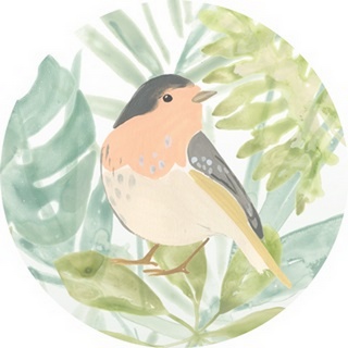 Songbird Collection C