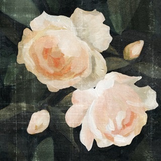 Soft Garden Roses I