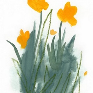 Daffodil Bunch I