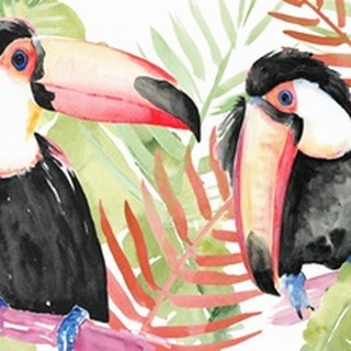 Toucan Palms Collection A