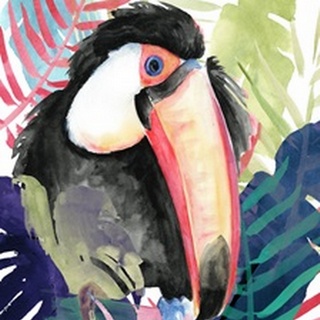 Toucan Palms Collection B