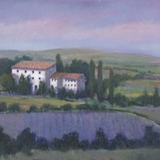 Soft Lavender Fields I