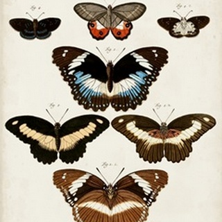 Vintage Butterflies II