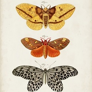 Vintage Butterflies IV