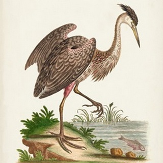 Antique Heron & Cranes III