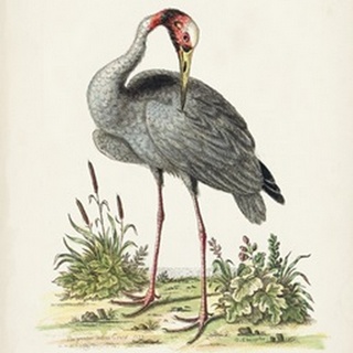 Antique Heron & Cranes I
