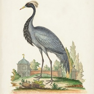 Antique Heron & Cranes II