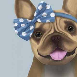 French Bulldog and Blue Bow