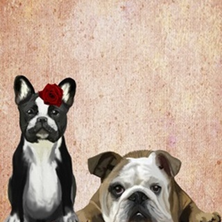 French Bulldog and English Bulldog