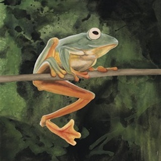 Watercolor Tree Frogs I