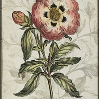 Keepsake Floral II