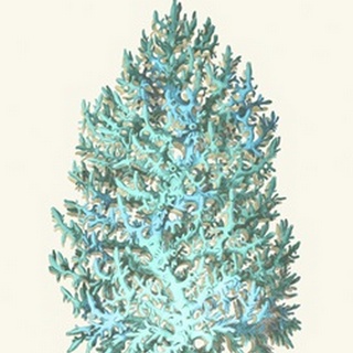 Coral Tree Turquoise on Cream